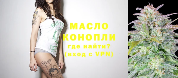 гашик Инта