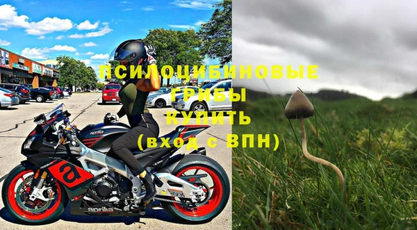 гашик Инта