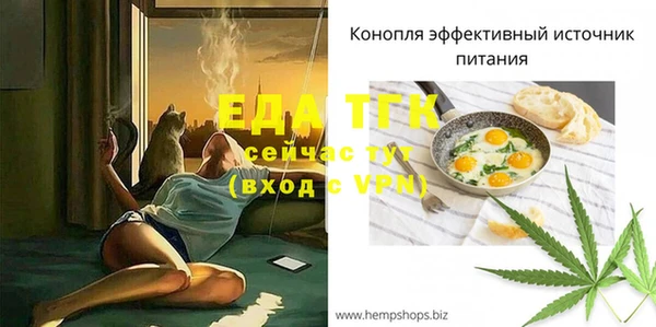 гашик Инта
