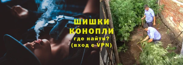 соль ск Иннополис