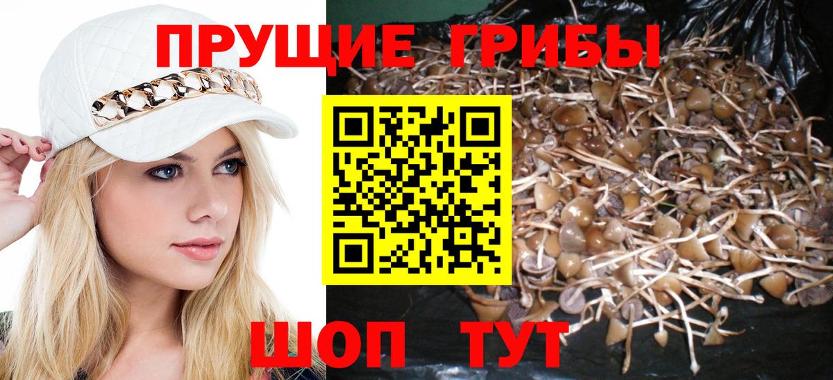 где купить наркоту  Вход с VPN  Кирово-Чепецк  Галлюциногенные грибы MAGIC MUSHROOMS 
