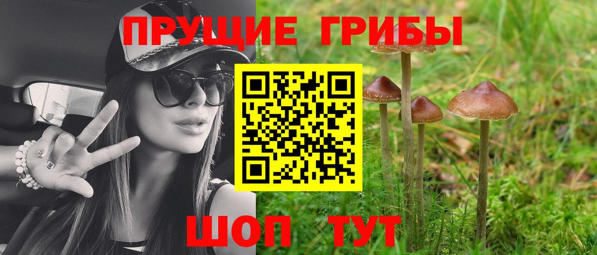 Псилоцибиновые грибы мицелий Кирово-Чепецк